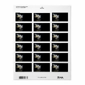 Beau étiquette papillon (Feuille entière)
