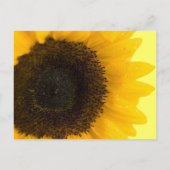 Beau Faire-part de mariage de tournesol élégant (Dos)