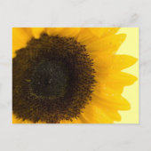 Beau Faire-part de mariage de tournesol élégant (Dos)