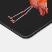 Beau Flamants roses et Monogrammes roses (Coin)