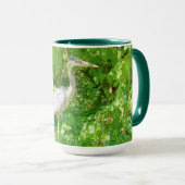 Beau grand héron bleu dans la mug sauvage (Devant droit)