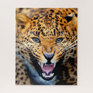 Beau Gros plan Leopard, Puzzle Jigsaw