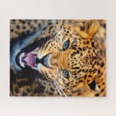 Beau Gros plan Leopard, Puzzle Jigsaw (Horizontal)