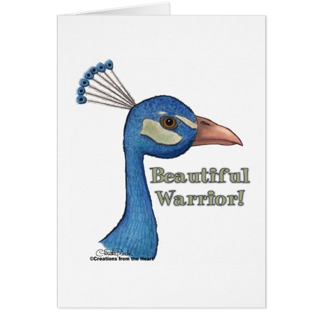 Beau guerrier (Devant)