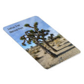 Beau Joshua Tree Premium Magnet ! (Côté Droit)