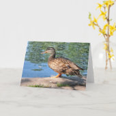 Beau jour pour une carte de note de blanc (Fleur jaune)