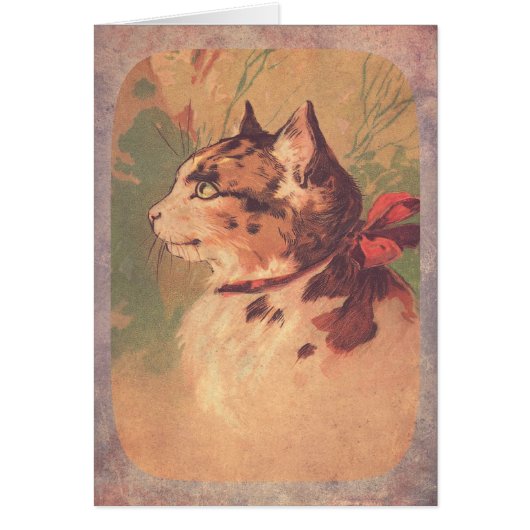 Beau Kitty Vintage (Devant)