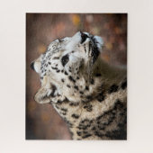 Beau léopard des neiges, Puzzle (Vertical)
