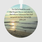 BEAU LEVER DE LEVER JOHN 3:16 DESIGN (dos)