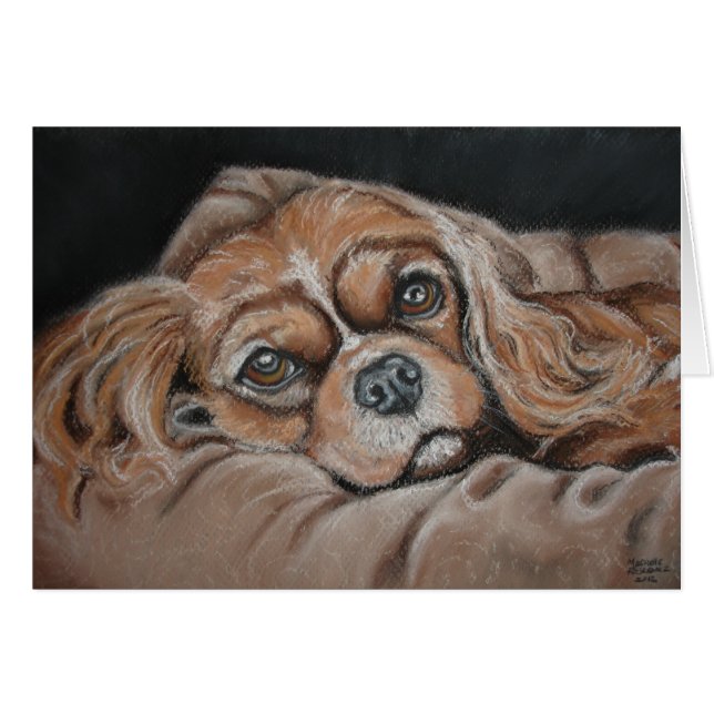 Beau Lilly (Devant horizontal)