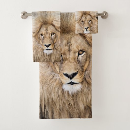 Beau Lion sauvage (En situation)