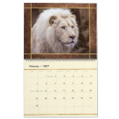 Beau Lions Photo Calendrier (Feb 2027)