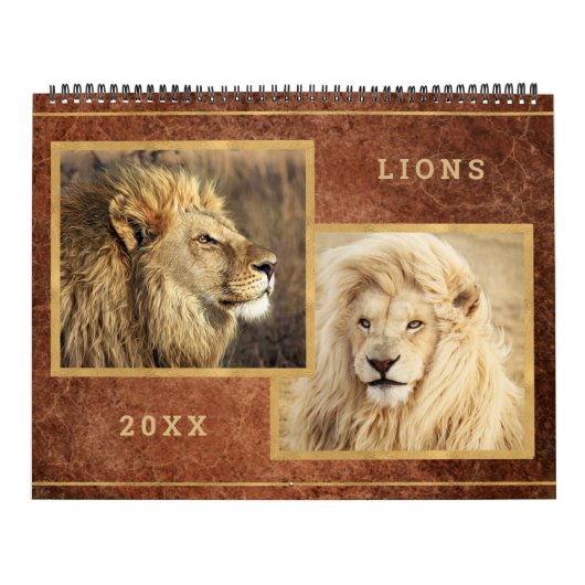 Beau Lions Photo Calendrier (Protection)