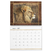 Beau Lions Photo Calendrier (Mar 2027)