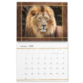 Beau Lions Photo Calendrier (Jan 2027)