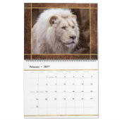 Beau Lions Photo Calendrier (Feb 2027)