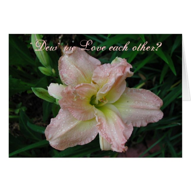 Beau lis (Devant horizontal)