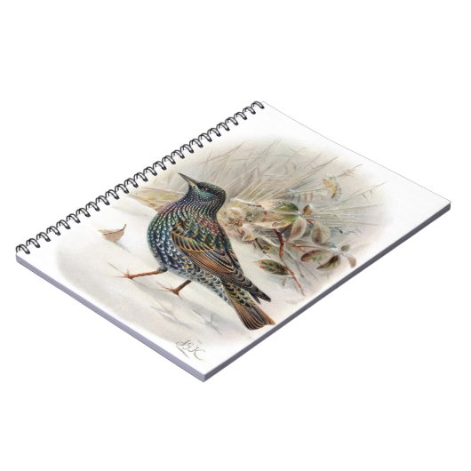 Beau livre de notes de Starling Commun (Côté gauche)