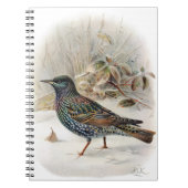 Beau livre de notes de Starling Commun (Devant)