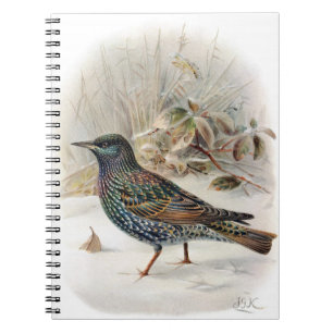 Beau livre de notes de Starling Commun