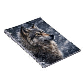 Beau Loup dans le Journal de Neige (Côté Droit)