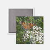 Beau Magnet de papillon orange et de fleurs blanch (Recto/Verso)