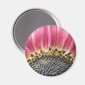 Beau Magnet de tournesol rose (Recto/Verso)