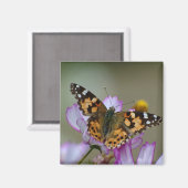 Beau Magnet papillon (Recto/Verso)