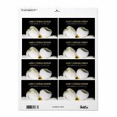 Beau Magnolia Mariage Étiquette de adresse (Feuille entière)