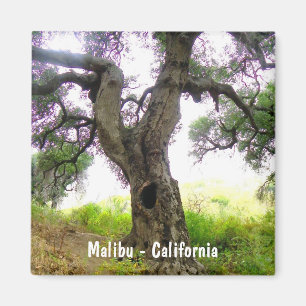 Beau Malibu Magnet !