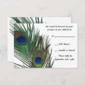 Beau Mariage Peacock Blanc RSVP (Devant / Derrière)