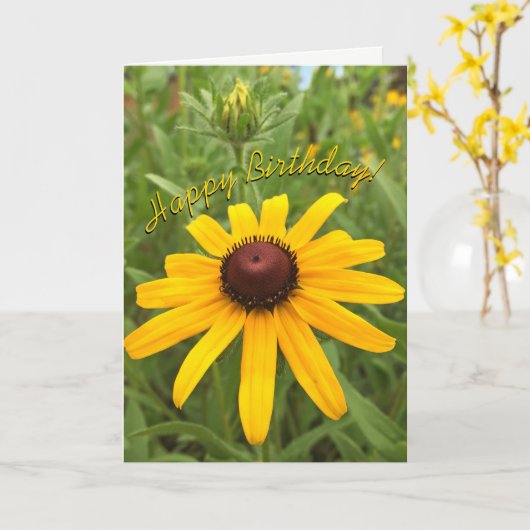 Beau Modèle à fleurs Orange Rudbeckia (Fleur jaune)