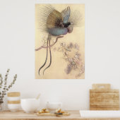 Beau oiseau du Paradis par Warwick Goble Poster (Cuisine)