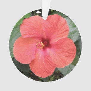 Beau Orange Hibiscus Fleur Acrylique Ornement