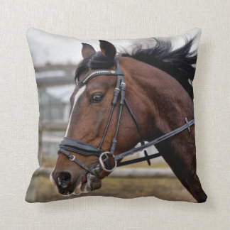 Beau Oreiller Cheval