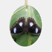 Beau ornement papillon à pointes bleues (Droite)