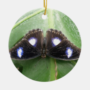 Beau ornement papillon à pointes bleues