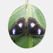 Beau ornement papillon à pointes bleues (Gauche)
