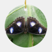 Beau ornement papillon à pointes bleues (Dos)