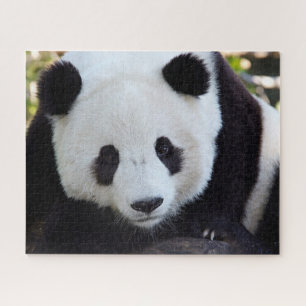 Beau Panda géant, Puzzle Jigsaw