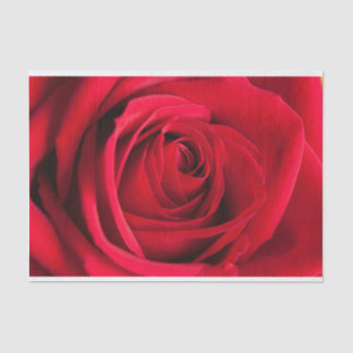 Beau papier de soie de soie de fleur de rose rouge