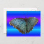Beau Papillon bleu Morpho do-it-yourself carte pos (Devant / Derrière)