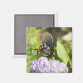 Beau papillon et aimant à fleurs violettes (Recto/Verso)