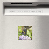 Beau papillon et aimant à fleurs violettes (In Situ (Lave-vaisselle))