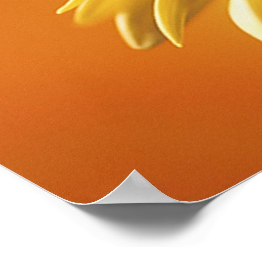 Beau papillon Monarque sur une impression de fleur (Coin)