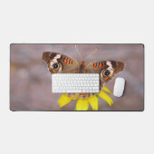 Beau papillon sur Fleur Jaune (Clavier et souris)