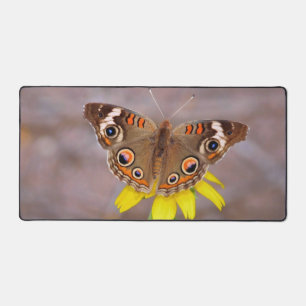 Beau papillon sur Fleur Jaune