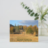 Beau pays... carte postale (Debout devant)
