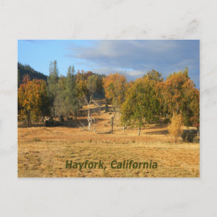 Beau pays... carte postale
