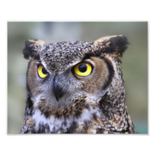 Beau paysage extérieur de la faune Photo Imprimer